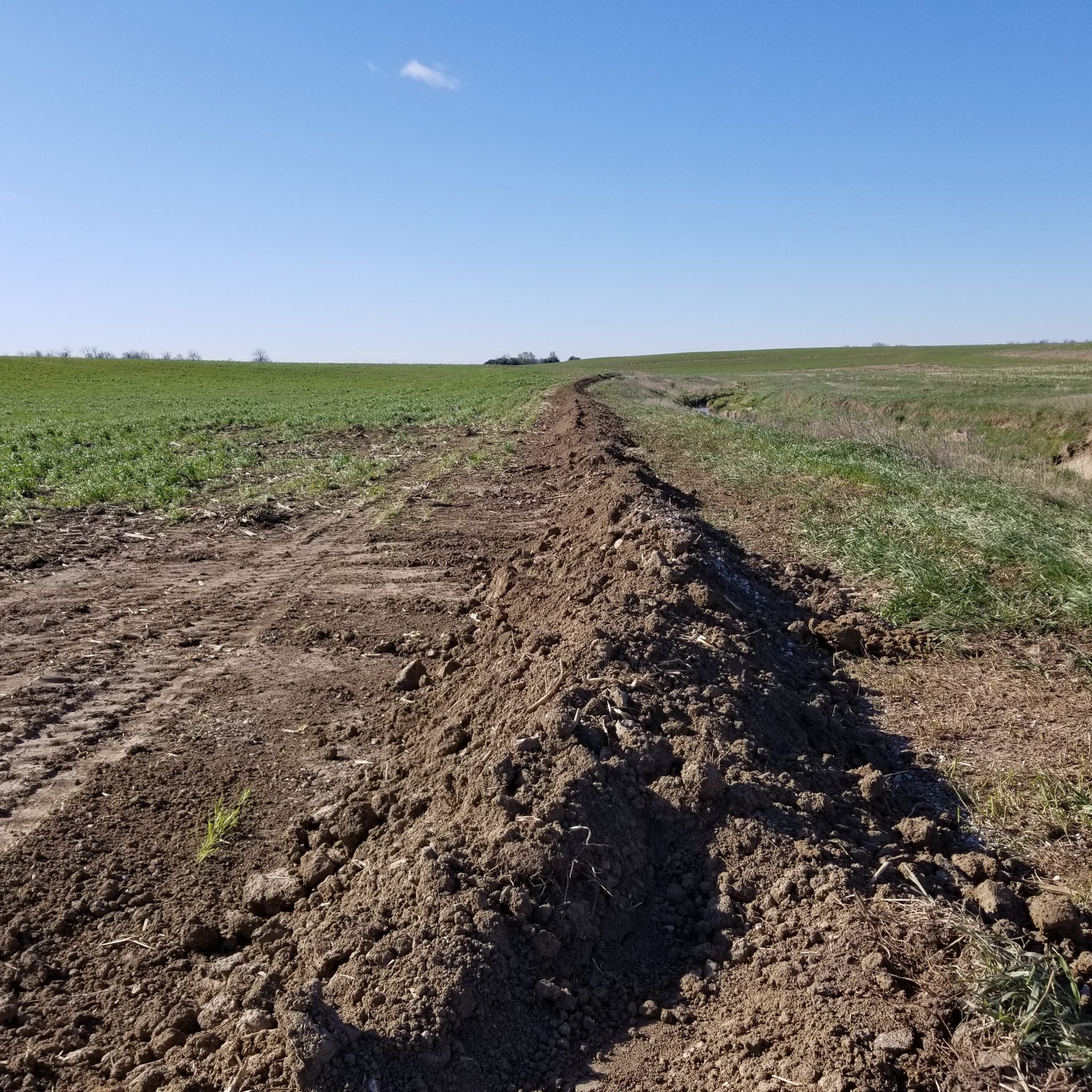 saturated-buffer-conservation-trench-in-field