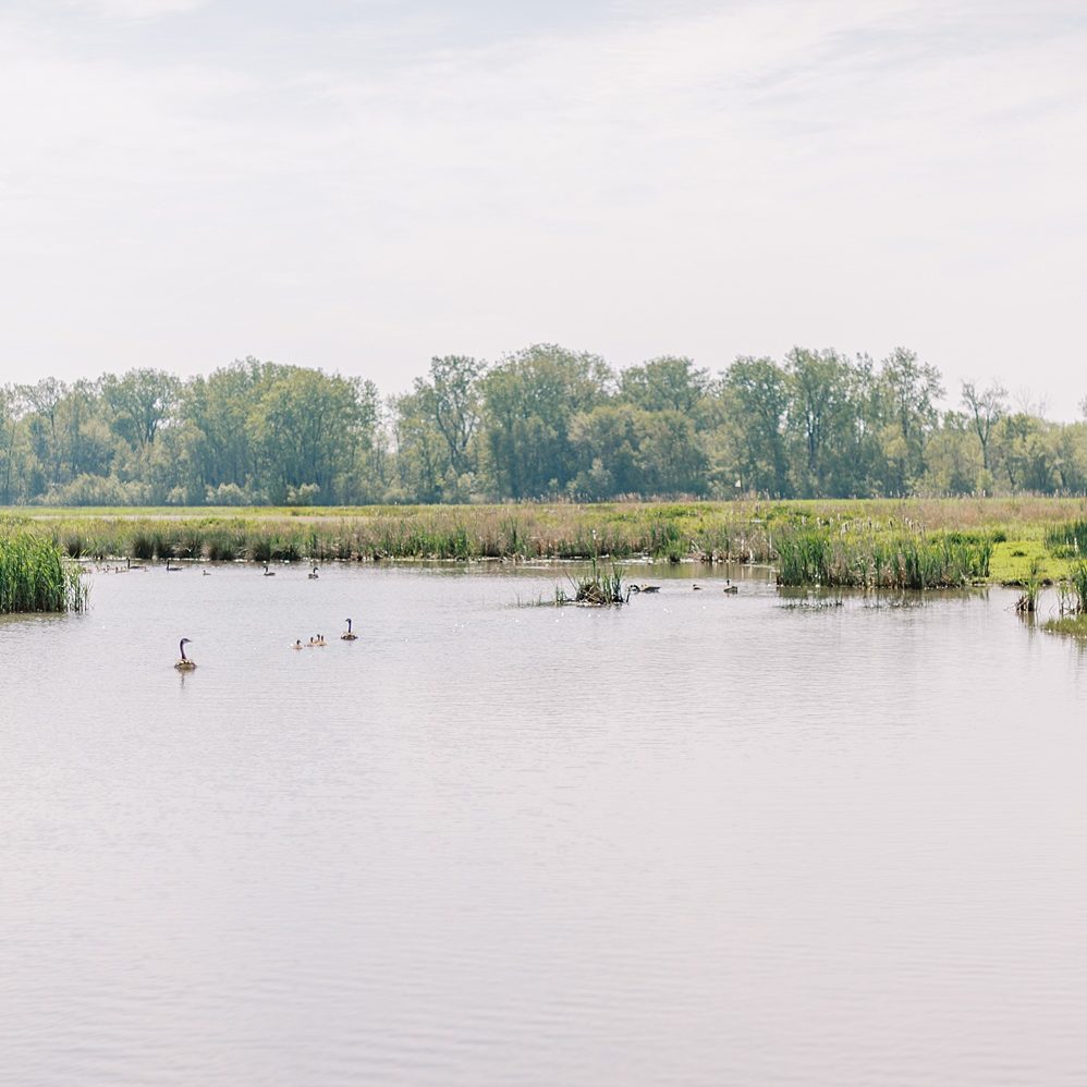 demofarms-wetland-13_WEB